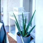 Gemuetliche Ferienwohnung Neben Der Arena Leipzig \