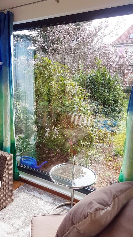 Couette-café Mit Pool Und Grossem Garten Leipzig