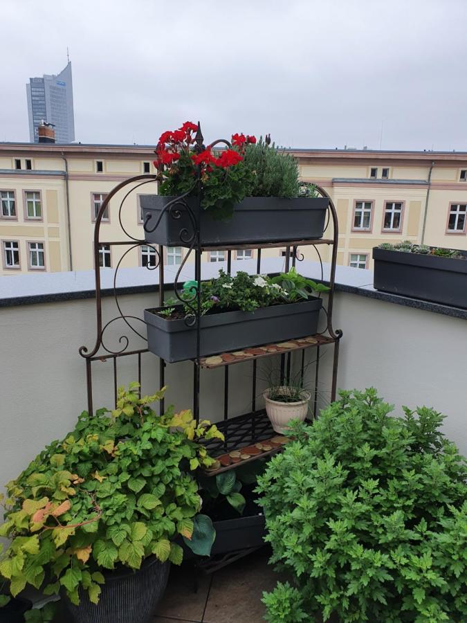Aparthotel Luxusappartement Mitten In Neueroeffnung !