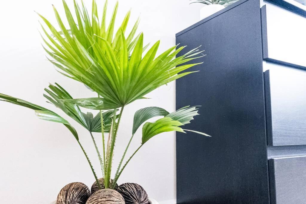 ✿ Moderner Neubau Im Kultviertel Plagwitz ✿ Appartement