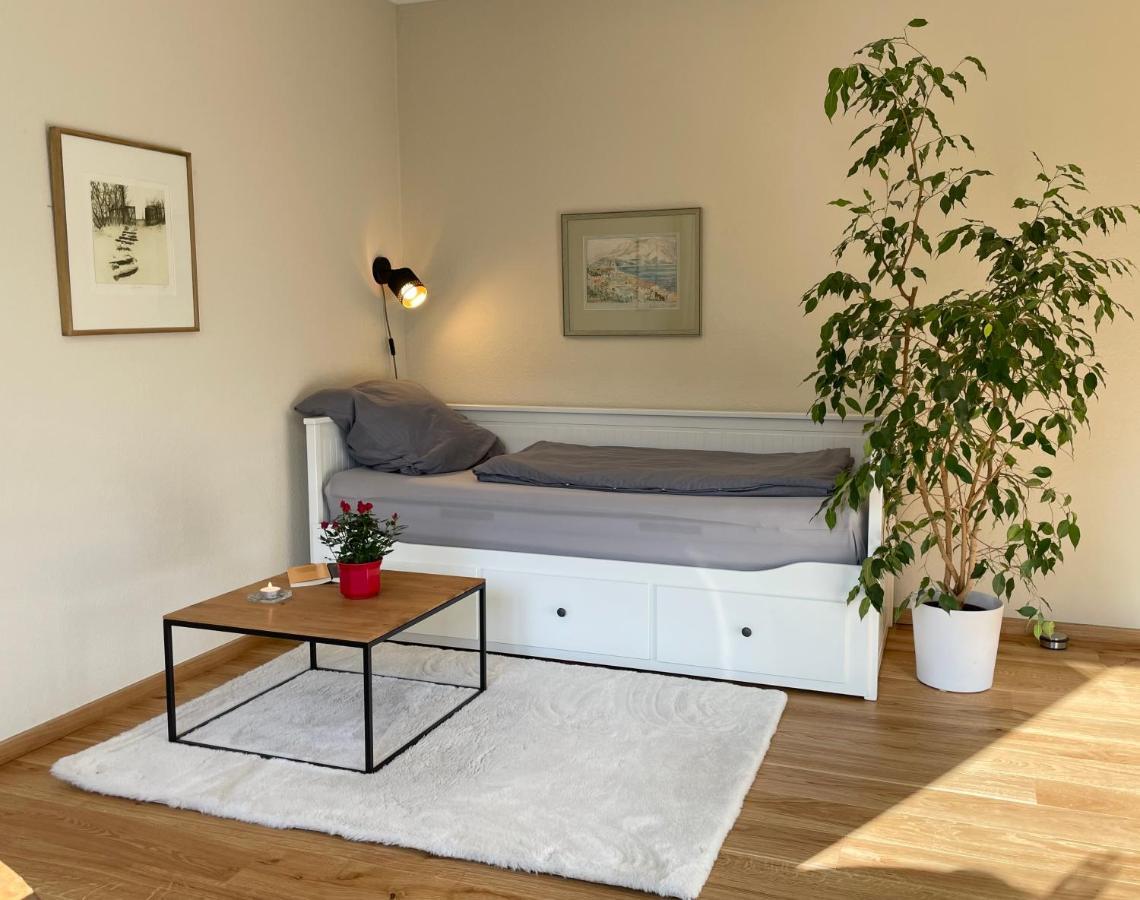 Zentrumsnahe Leipzig-Apartments, Nahe Ufz Und Bmw Inkl Parkplatz Und Fahrraeder * Leipzig
