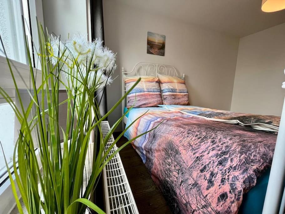 Am Puls Der Stadt, Inkl Tg-stellplatz & Balkon Appartement