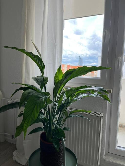 Appartement Gemuetlichkeit Mit Cityblick *