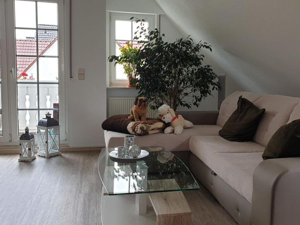 Comfortable Holiday home *