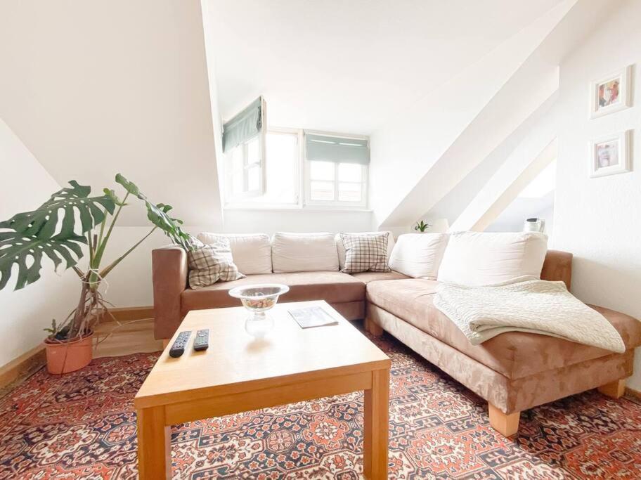 Appartement Schoene Mit Blick Ueber Stadtwald Leipzig