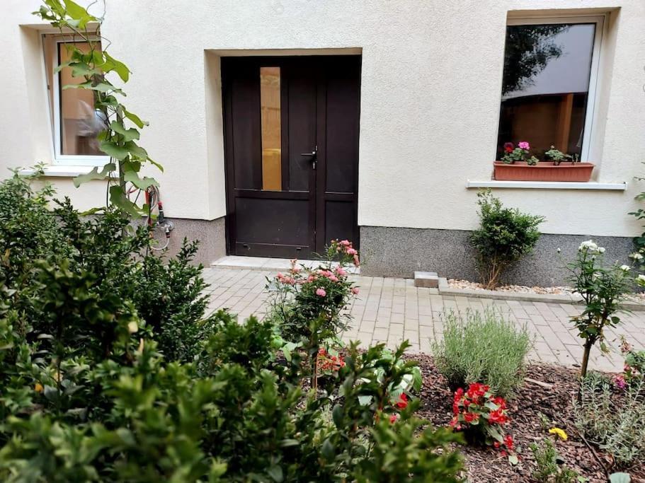 Szenebezirk Connewitz Apartment *