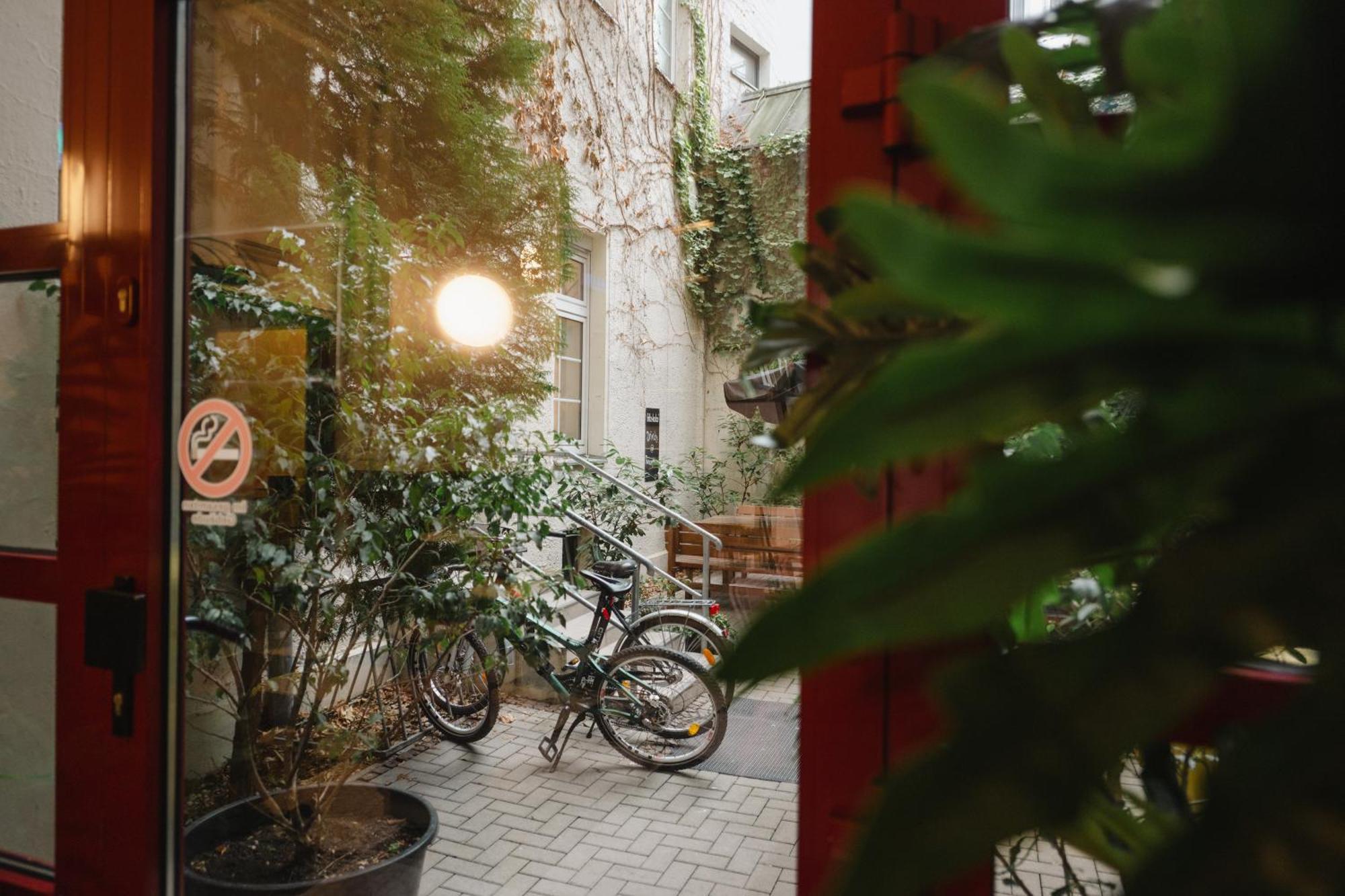Sleepy Lion Hostel, Youth Hotel&apartments *