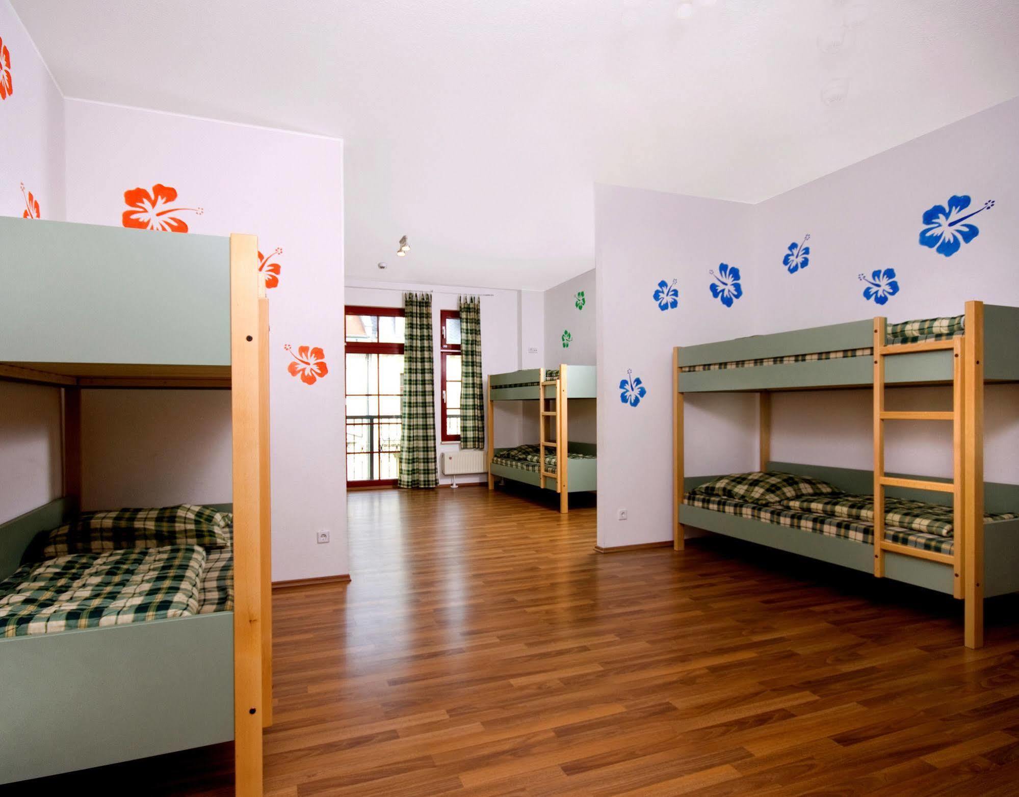 Hostel Sleepy Lion Hostel, Youth Hotel&apartments