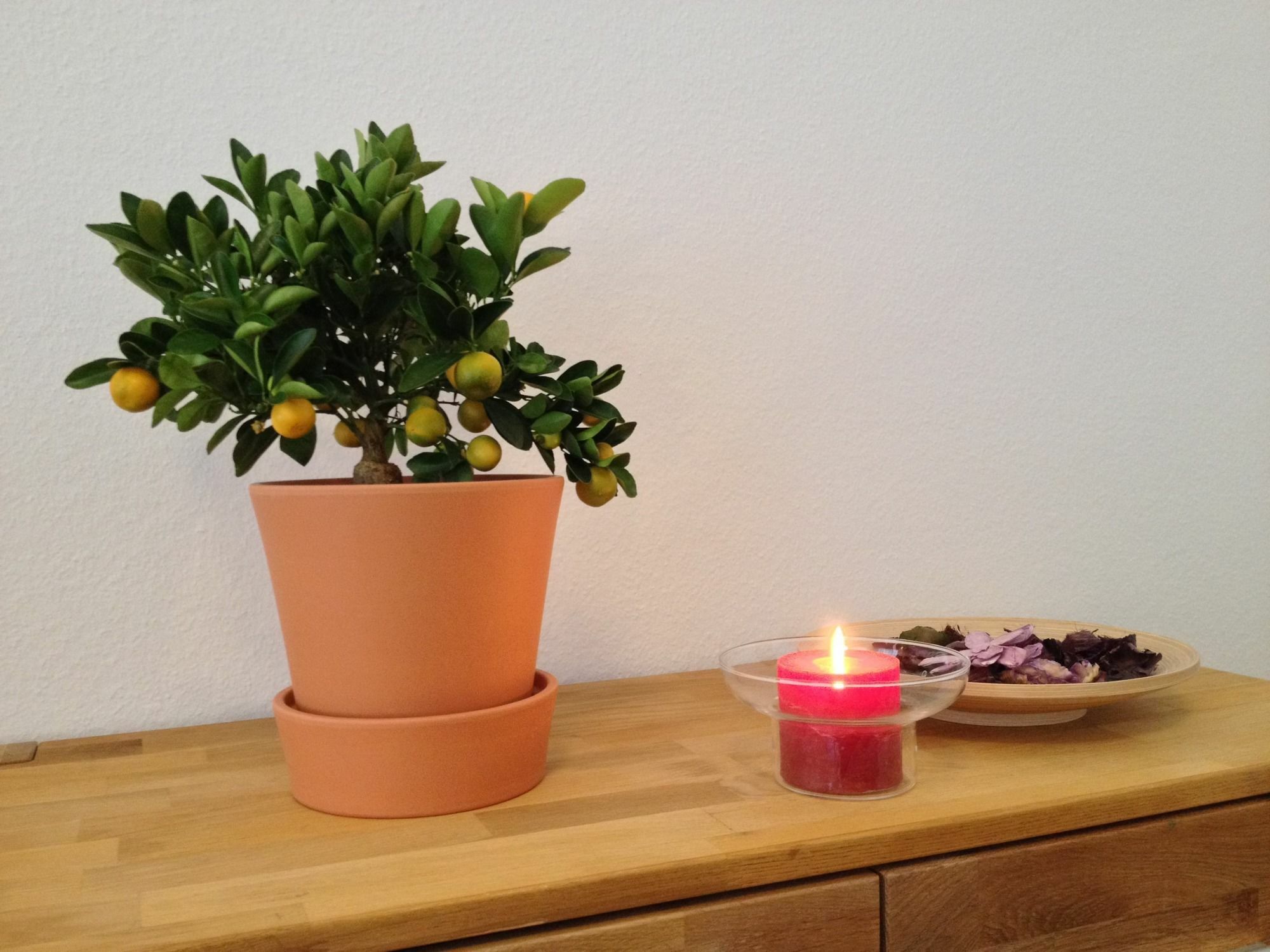 Appartement Apartmenthaus Feuerbach Leipzig