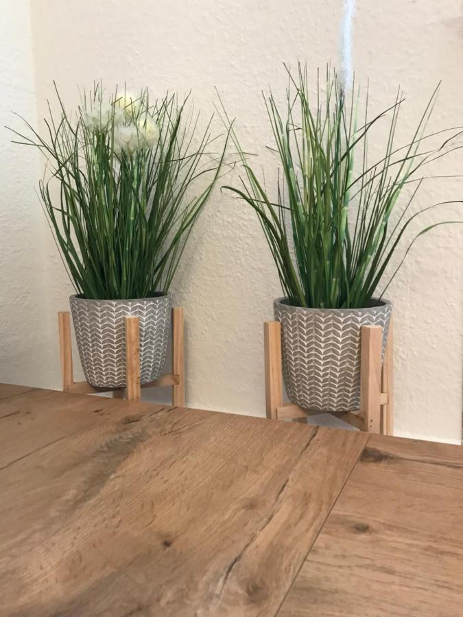 Schroeder Appartement