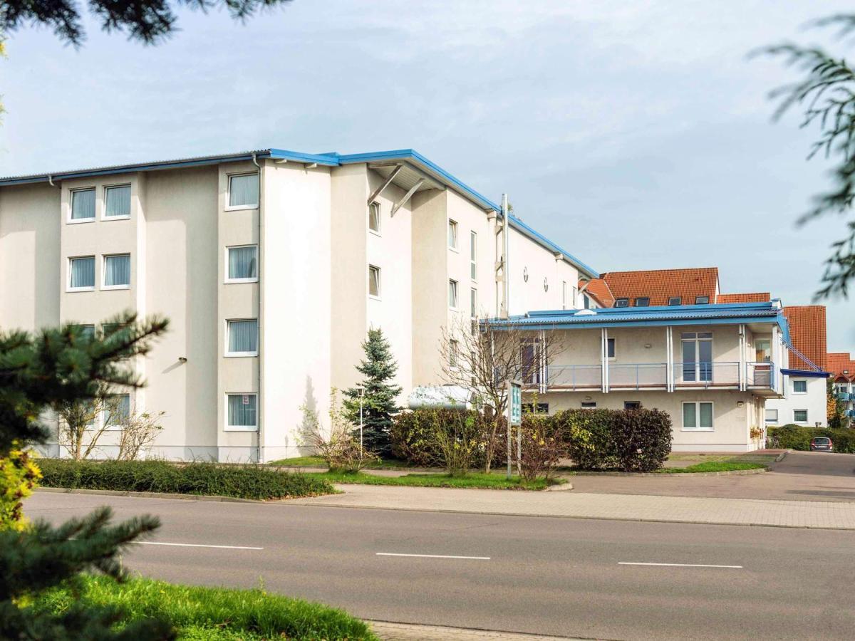 Ibis Nord-ost