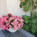 Luxusappartement Mitten In Leipzig Neueroeffnung !