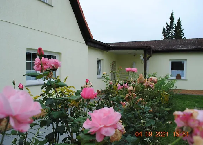 Ferienhaus Nahe Des Leipziger Neuseenlandes