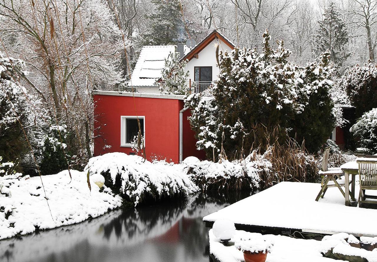 Vakantiehuis Haus Mit Kunst Zwischen Wald Und