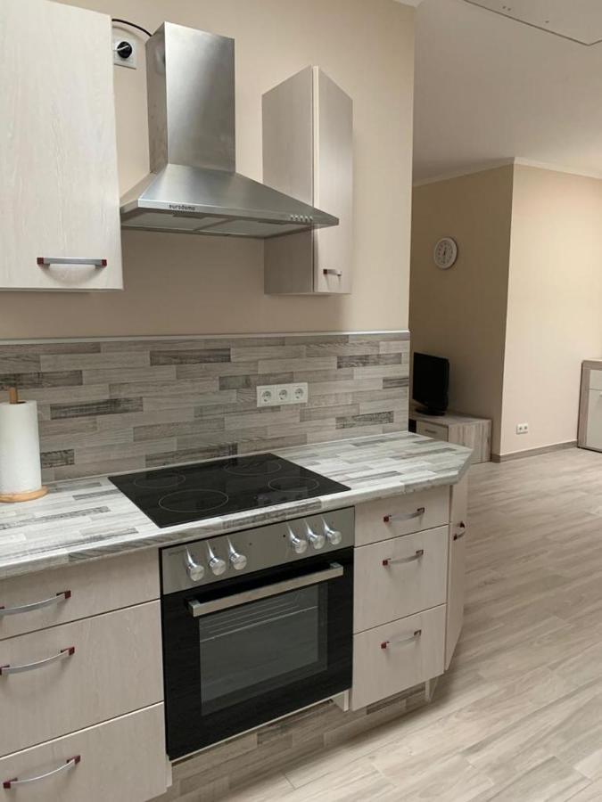 2raum-apartment Leznew Appartement *