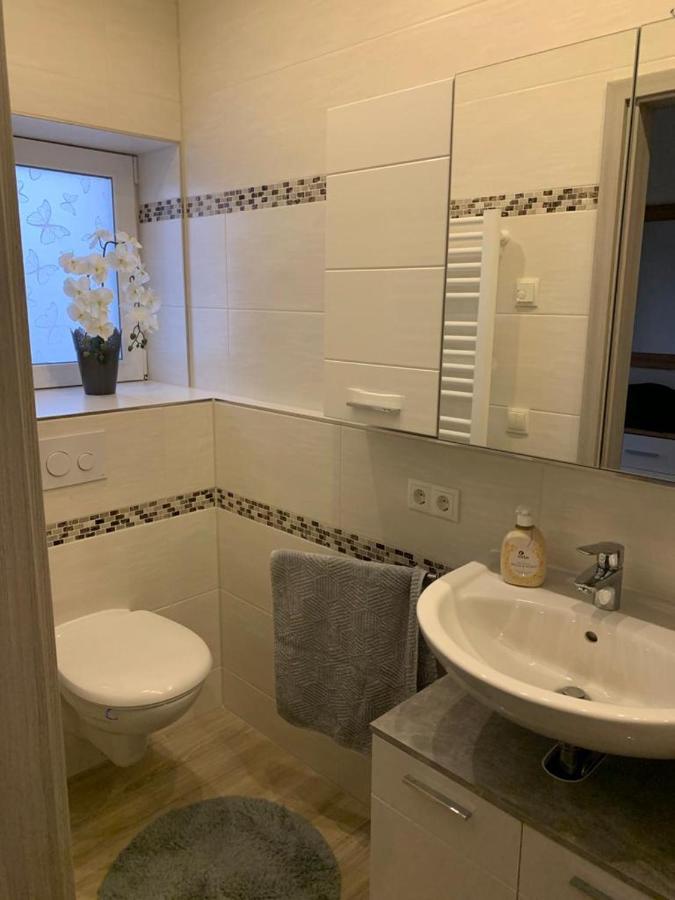 2raum-apartment Leznew *