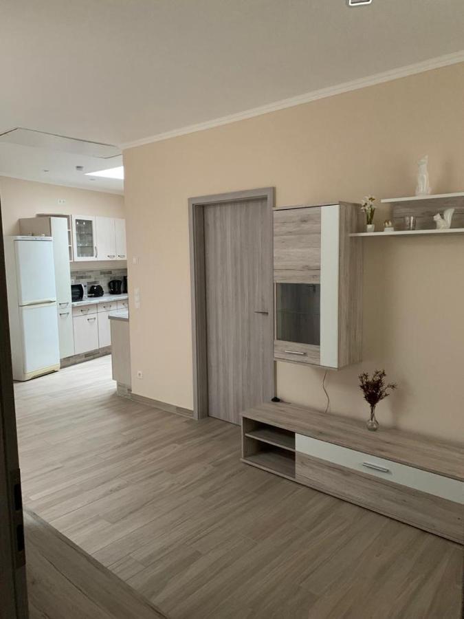 2raum-apartment Leznew Leipzig