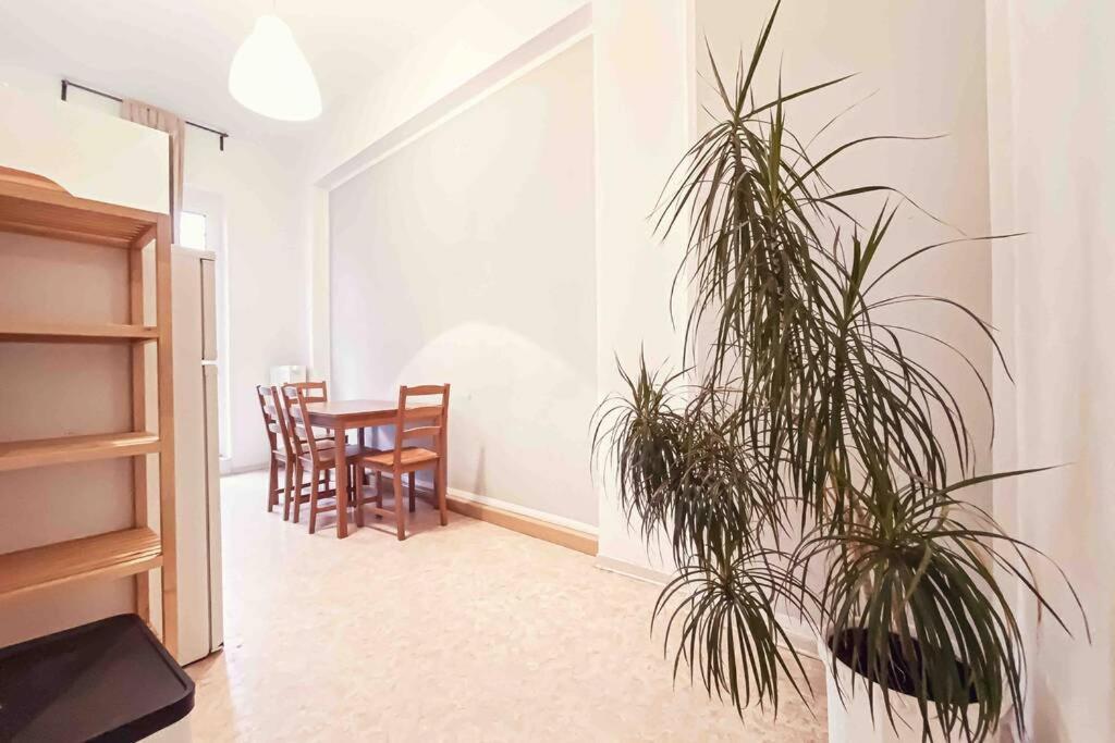 Altbau-schmuckstueck An Der Karli Mit Riesigem Balkon Appartement