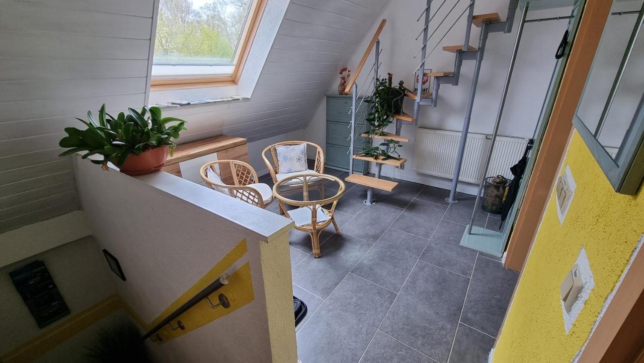 Am Park Appartement *