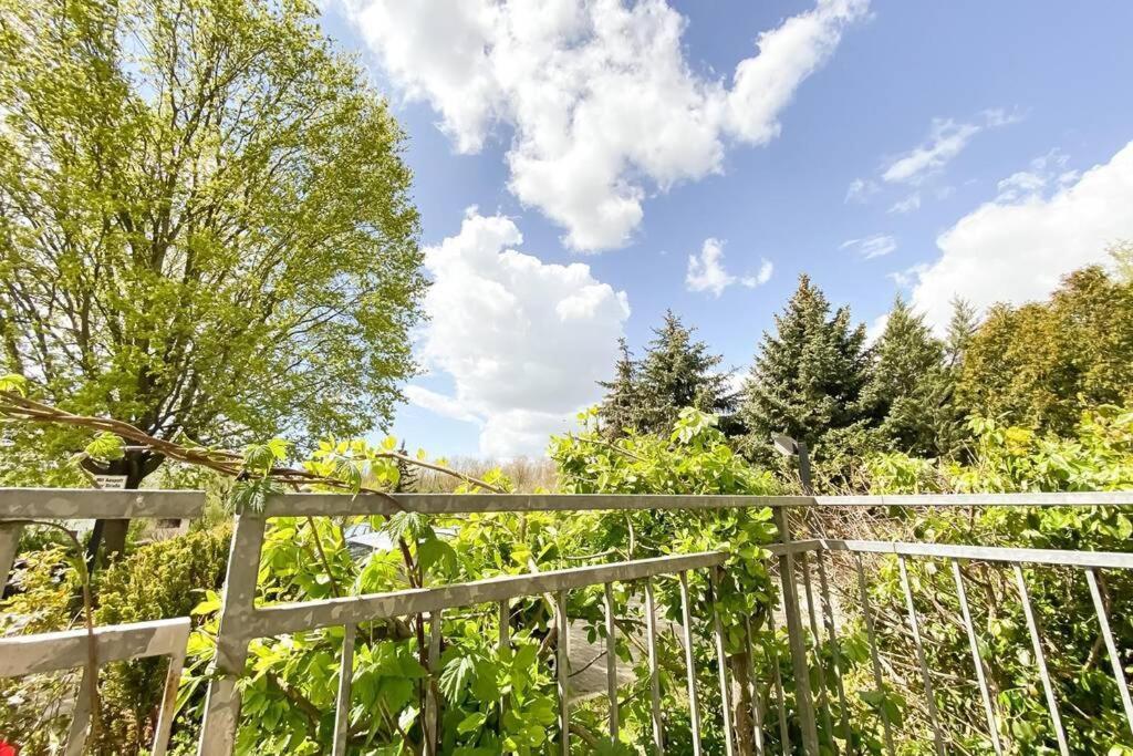 Am Auensee Mit Grosser Terrasse & Privat-parkplatz Appartement *