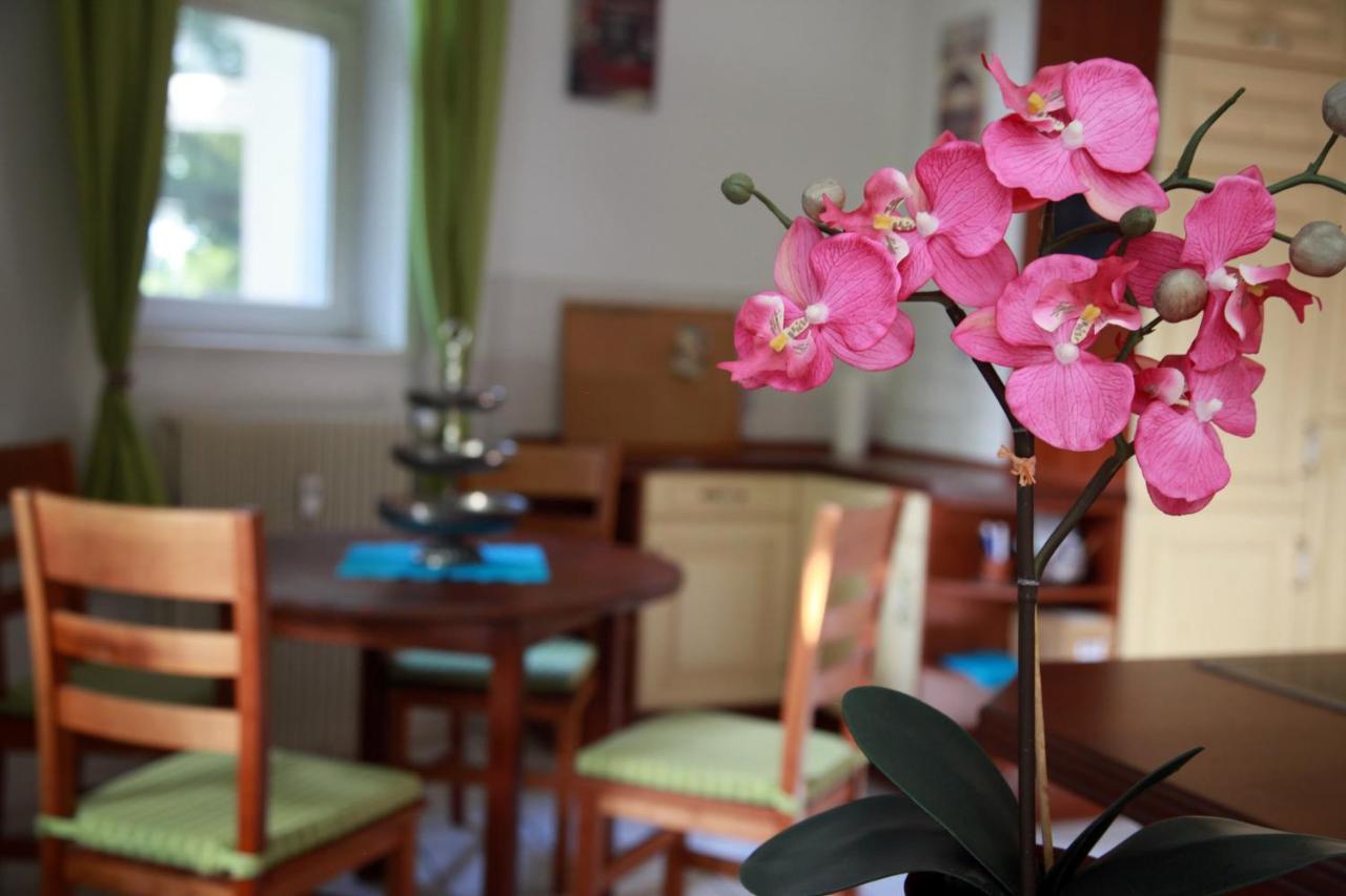 Appartement Gohliser Stadtwohnung *