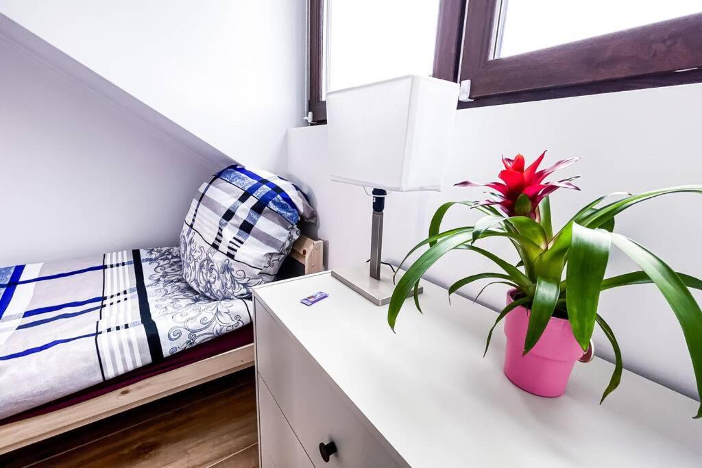 Modern Sanierte Mit 5 Einzelbetten In Leipzig-plagwitz Apartment