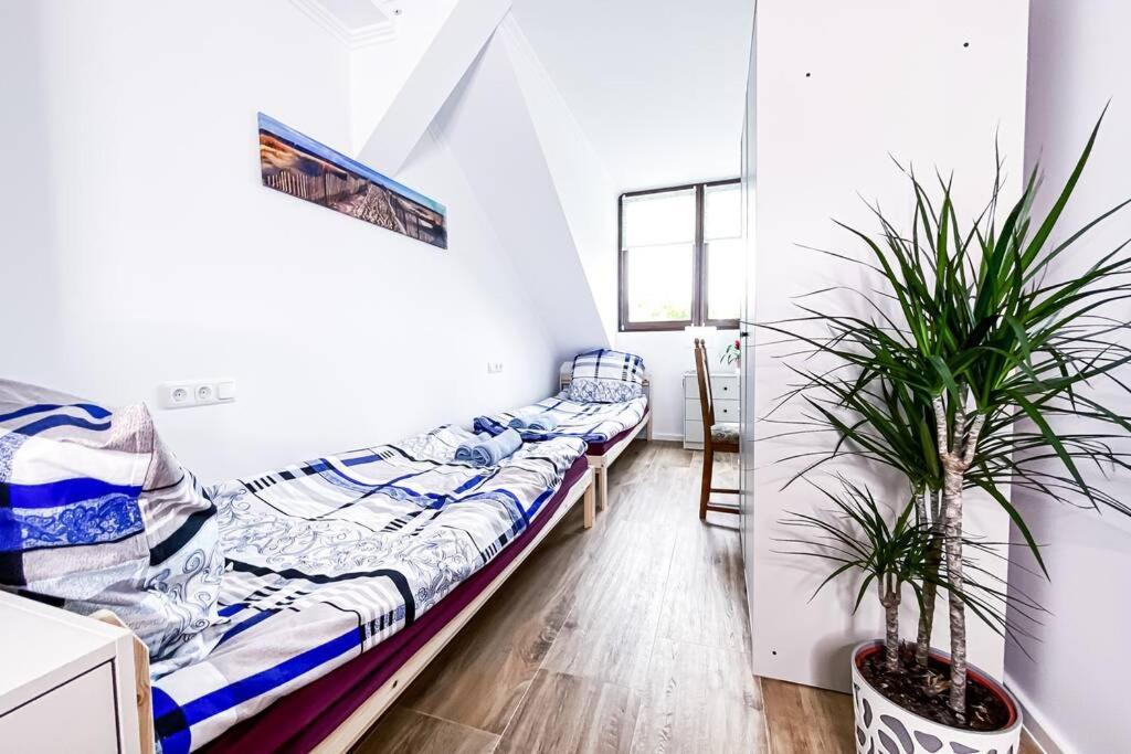 Apartment Modern Sanierte Mit 5 Einzelbetten In Leipzig-plagwitz *