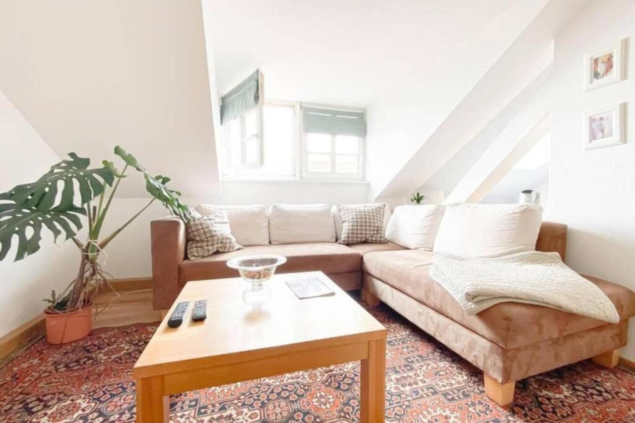 Schone Ferienwohnung Mit Blick Uber Stadtwald - Netflix, Wlan, Waschmaschine *