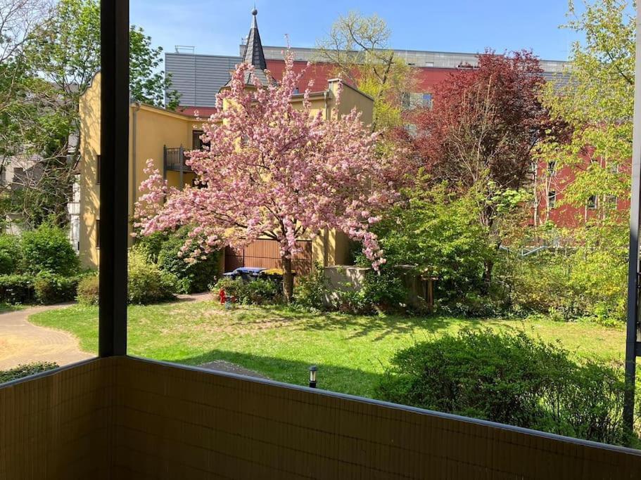 Appartement Traumhafte Im Herzen Von