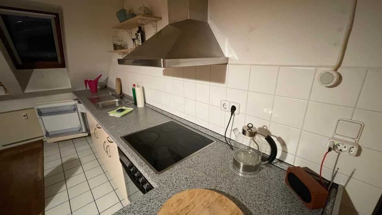 Appartement Grosszuegige Maisonette Ueber Den Daechern Leipzigs