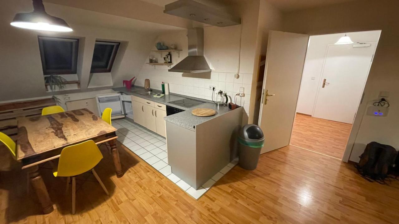 Grosszuegige Maisonette Ueber Den Daechern Leipzigs Appartement