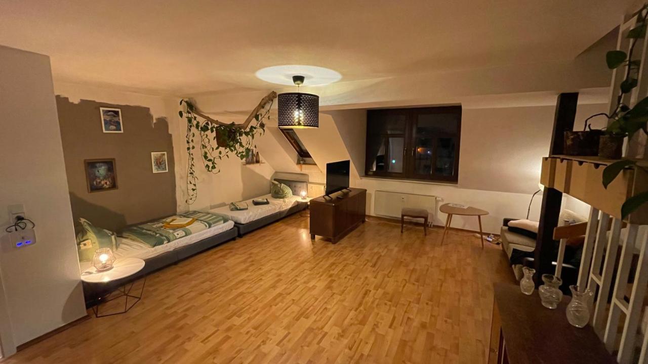 Appartement Grosszuegige Maisonette Ueber Den Daechern Leipzigs