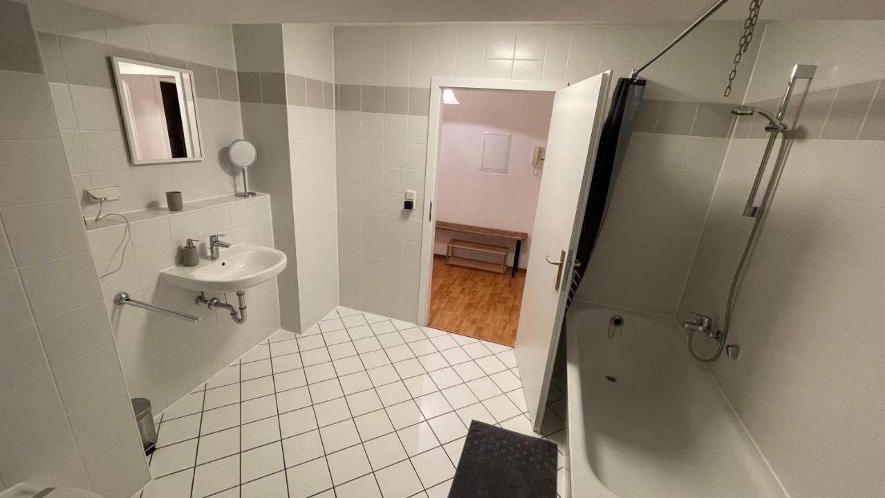 Grosszuegige Maisonette Ueber Den Daechern Leipzigs Appartement