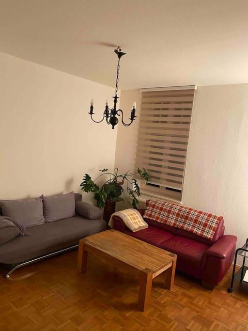 Schone Altbauwohnung Mit Grun In Ruhiger Lage Appartement Leipzig