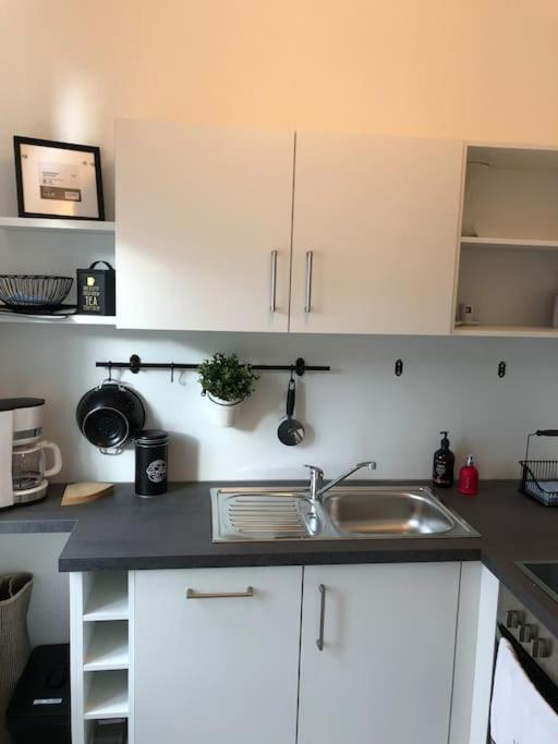 Gruenderzeitwohnung In Beliebter Suedvorstadt Appartement