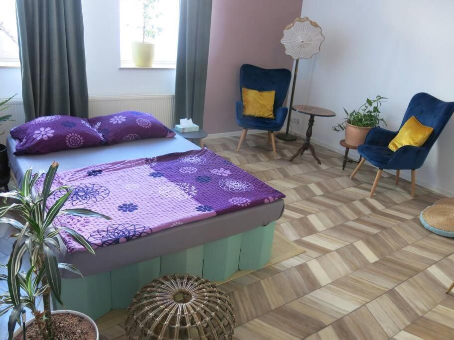 Appartement Stuckverzierte, Zentrumsnahe Im Sueden Leipzig