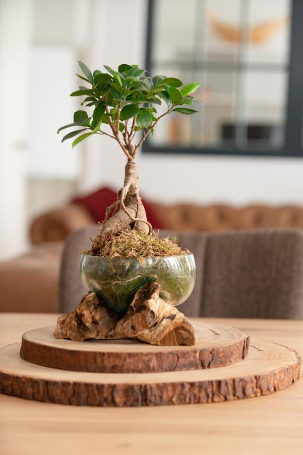 Exklusives Loft Im Zentrum Von Appartement