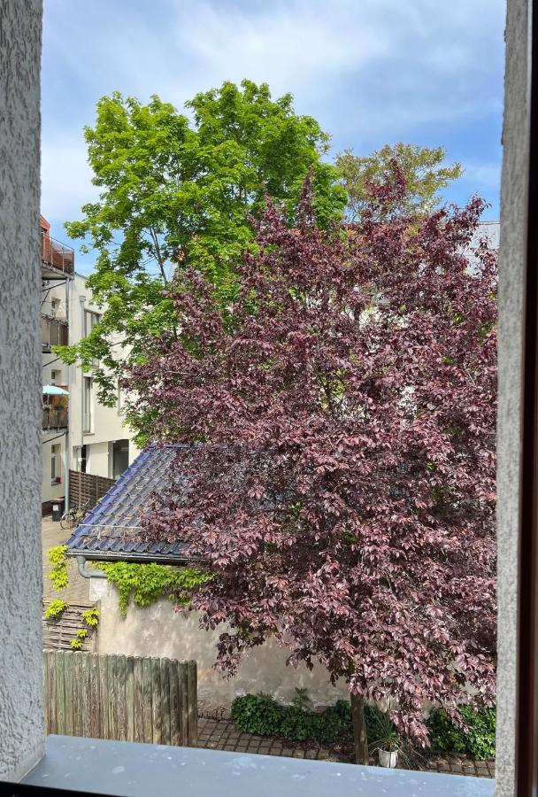 Appartement Hinterhaus *