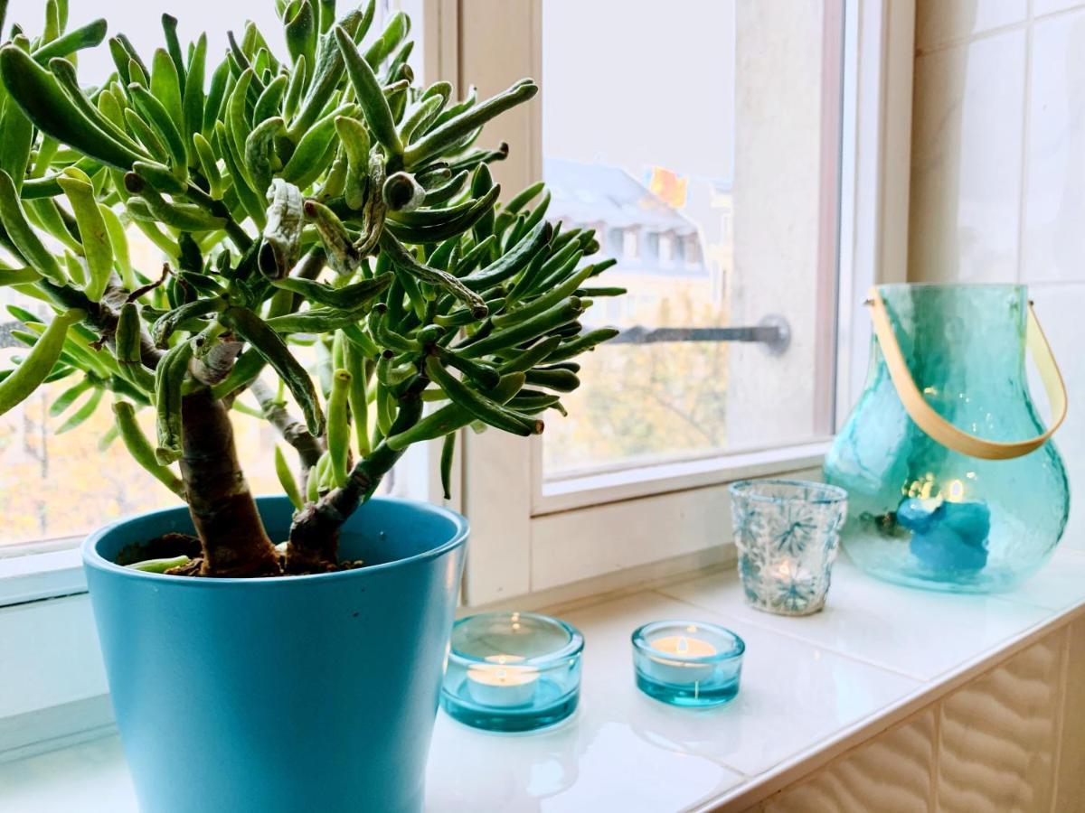 Appartement Am Puls Der Stadt - In Citynaehe! - 