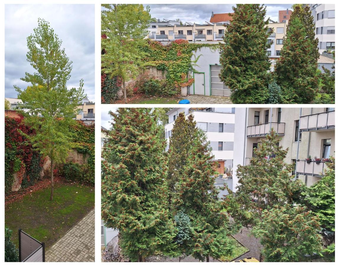 Modernes Einraumzimmer Mit Eigenem Bad, Balkonnutzung, Zentrumsnah - In 10 Minuten Mit Dem Rad Oder Dem Oepnv Zur Arena Und In Leipzigs Innenstadt Homestay *