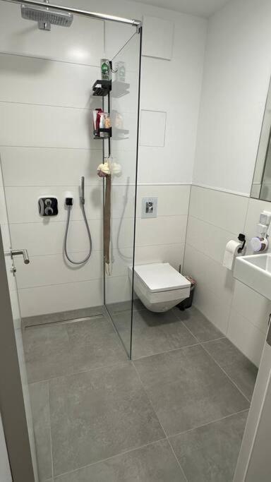 Apartment Moderne Penthousewohnung In Zentrumsnaehe