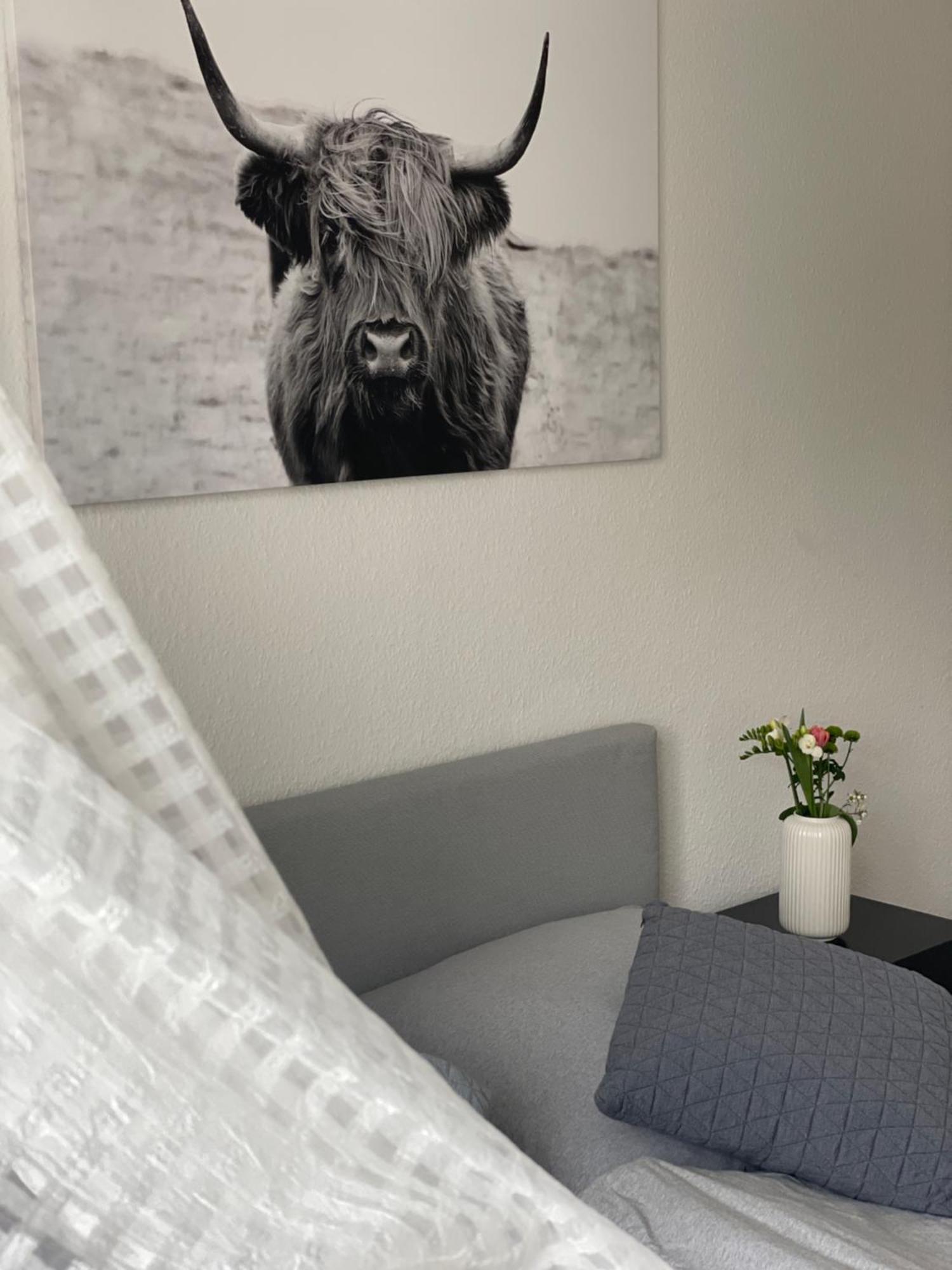 Charmante In Der Suedvorstadt *