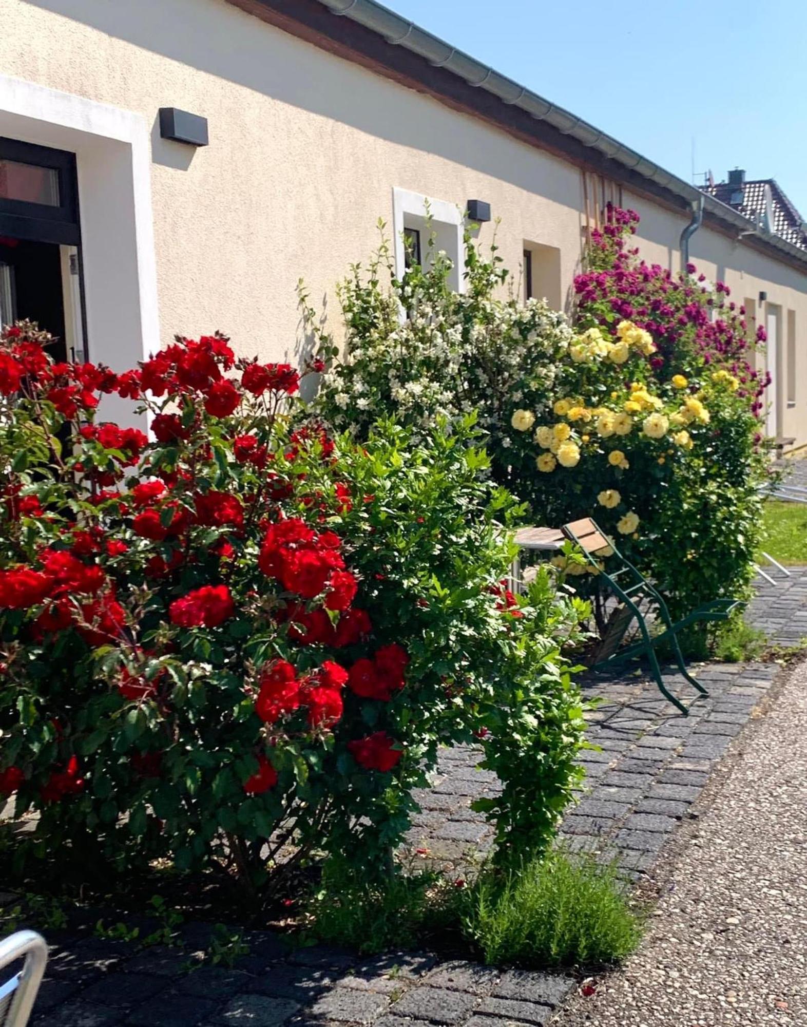 Senfbude - Klein Aber Fein - Wunderschoenes Studio-apartment Mit Terrasse Und Stellplatz Appartement Leipzig