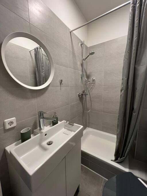 Appartement Schoenes In Zentraler Lage Luppenstrasse Leipzig