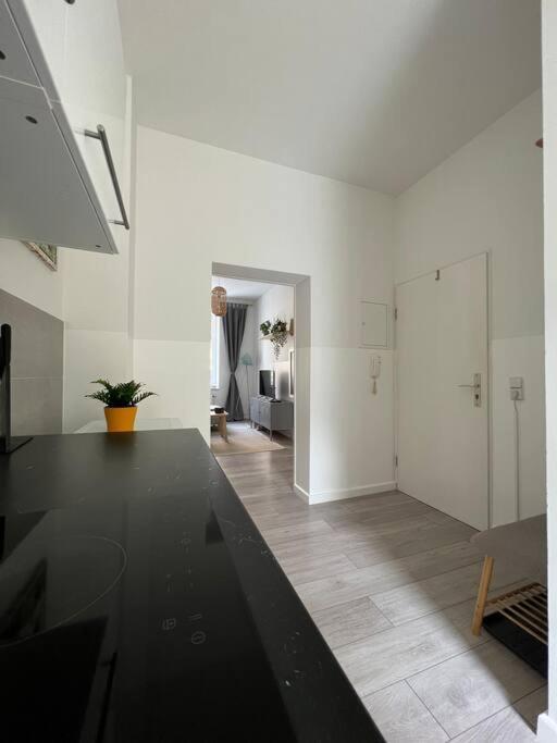 Appartement Schoenes In Zentraler Lage Luppenstrasse