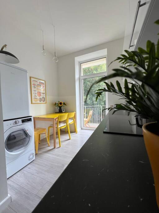 Appartement Schoenes In Zentraler Lage Luppenstrasse Leipzig