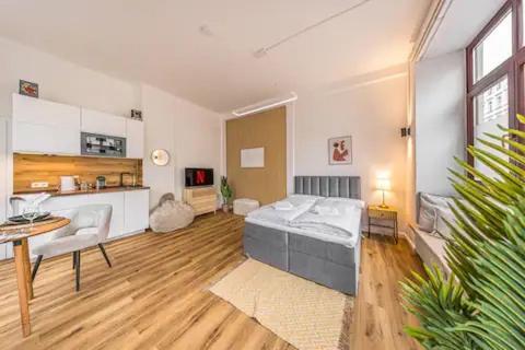 Appartement Ruhige Und Stilvolle Am Clara-zetkin-park Leipzig