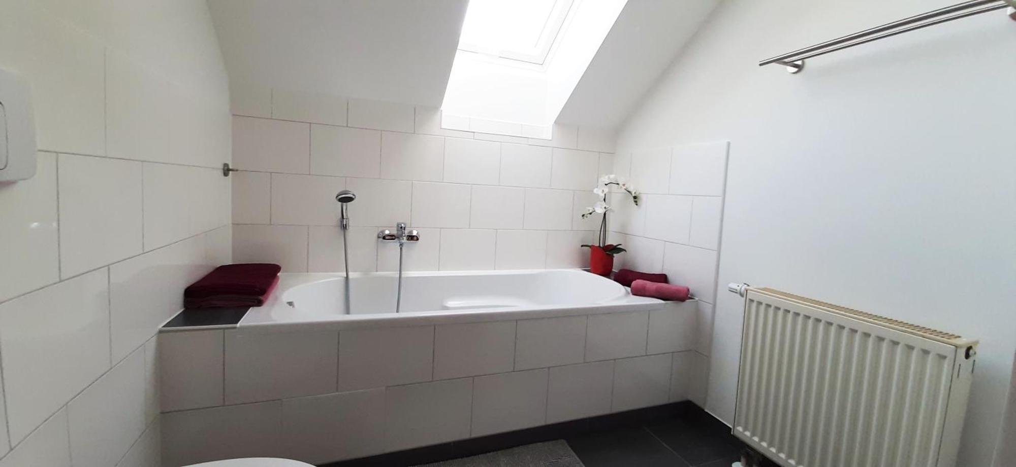 Dachgeschosswohnung Apartment Leipzig