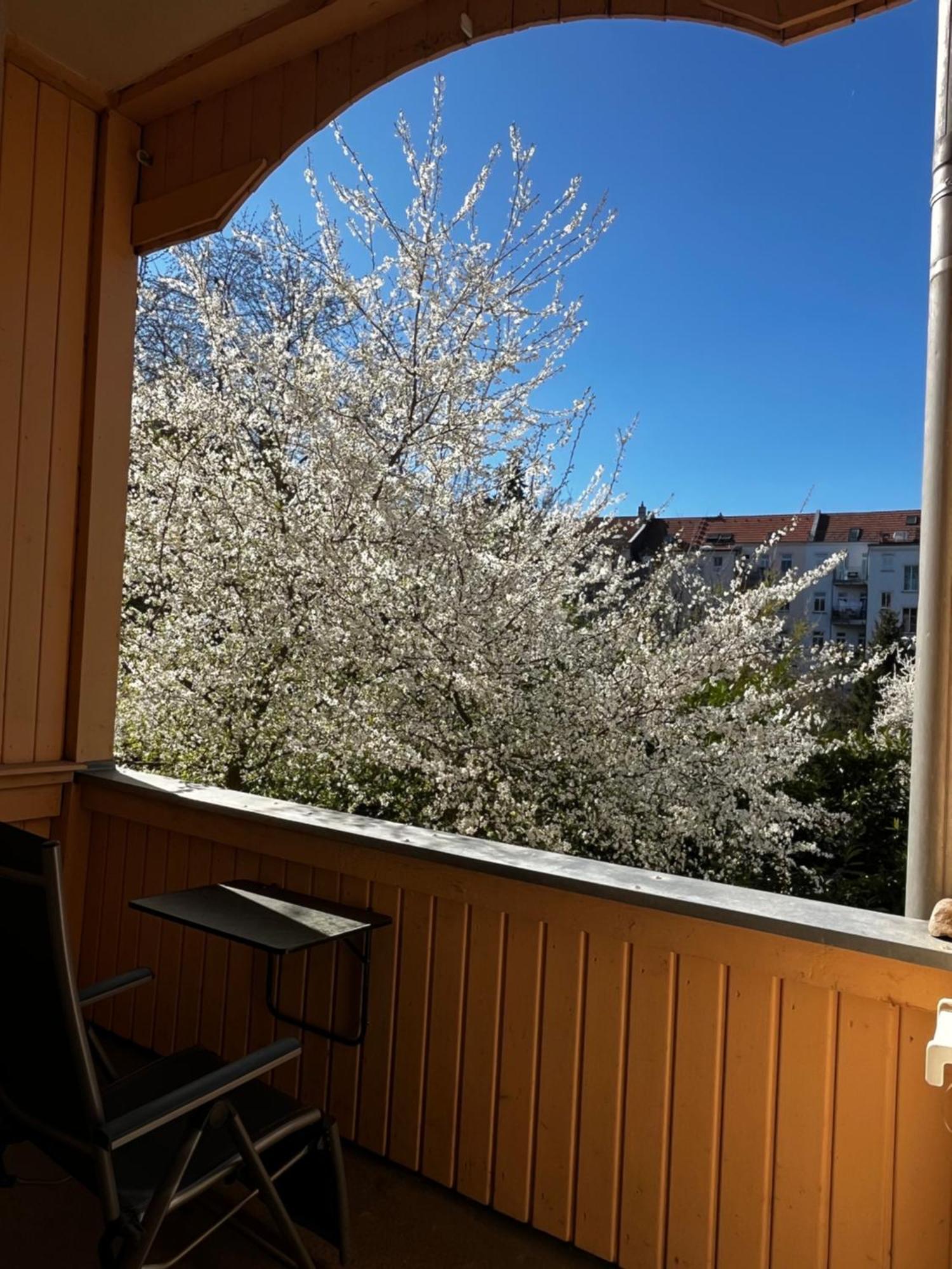 Stilvolles Quartier In Zentrumsnaehe Homestay *