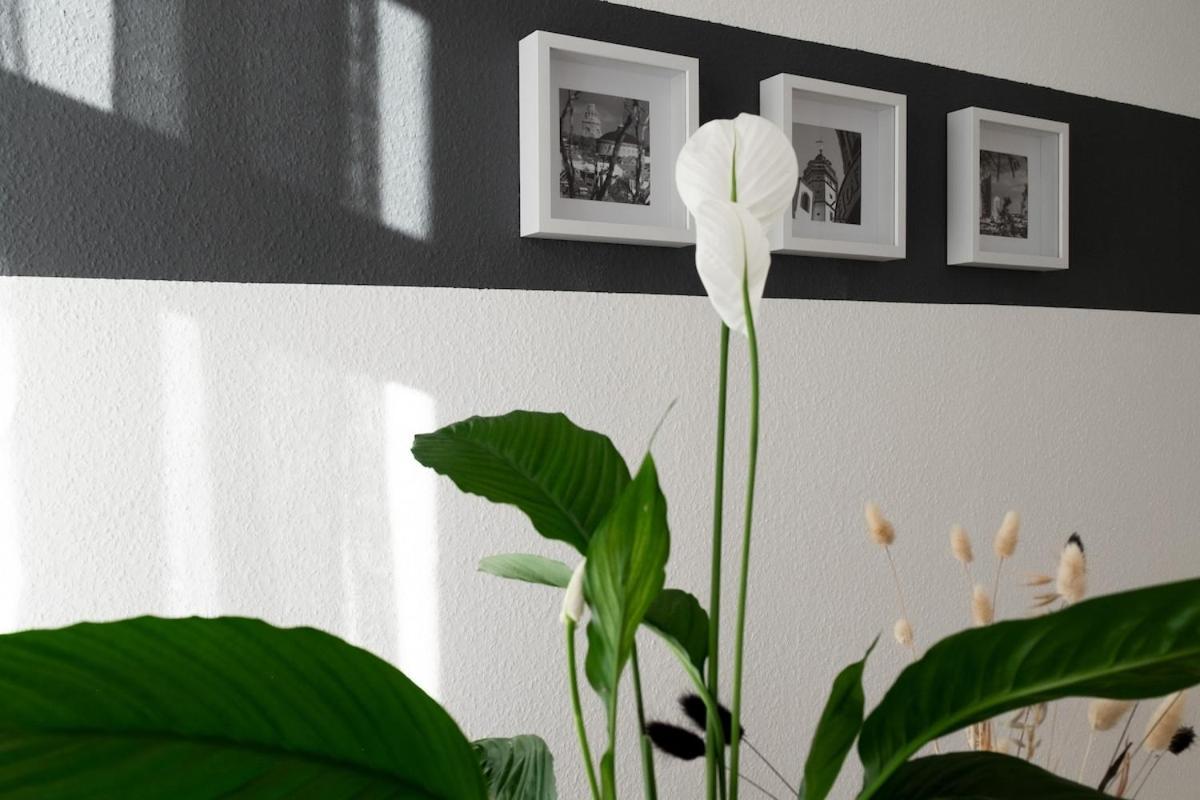 Apartment Deluxe With Balcony Near Stadium & *